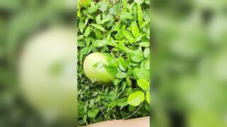 Girl pissing on the coconut in the jungle grass