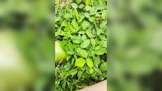 Girl pissing on the coconut in the jungle grass