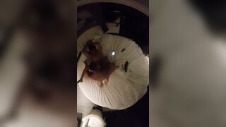 Fuck my hot girlfriend in hotel