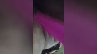 Pink dildo wet pussy