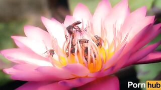 cruising down the street in my six four