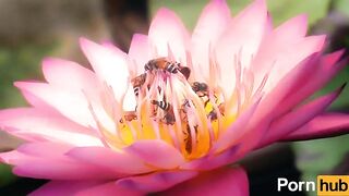 cruising down the street in my six four