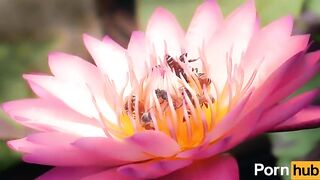 cruising down the street in my six four