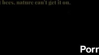 cruising down the street in my six four