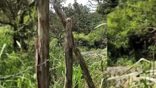 Pissing in the wild, wanting to warm the cold dick in a hot pussy