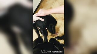 Feminization and anal training for sissy slut. Full video on my Onlyfans ( link in bio)