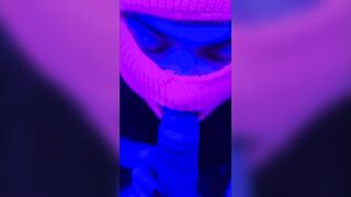 Another little blowjob to the neighbor