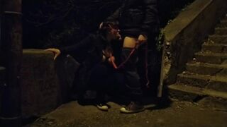 Mother in law sucking boy cock in public on dog leash