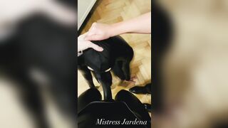 Hardcore treatment for latex femboy in heels with Mistresses.Full video on my Onlyfans (link in bio)