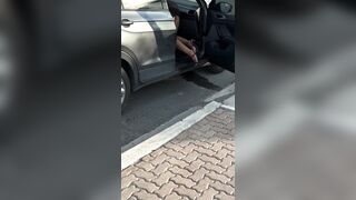 Zorrita treaviesa en el coche