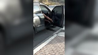 Zorrita treaviesa en el coche