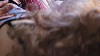 DomDandy gets a blowjob in the morning