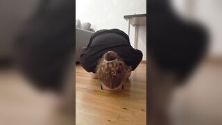 Milf pee and then i drink my pee on the floor