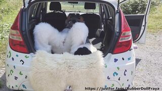 Fluffy car with fun