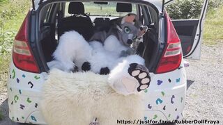 Fluffy car with fun