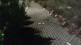 REAL AMATEUR DOGGING - SLUTTY WIFE SUCKS VOYEUR'S COCK ON THE STREET