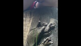 Naughty Outdoor Pee While Sitting on a Log