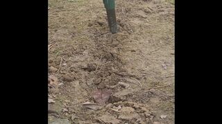 Nasty oiled up masturbation