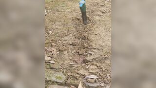 Nasty oiled up masturbation