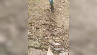 Nasty oiled up masturbation