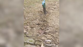 Nasty oiled up masturbation