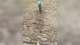 Nasty oiled up masturbation