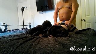 Fucked and spanked from behind