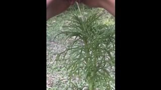 Golden Shower for My Garden - Naughty Girl Pissing Outdoors